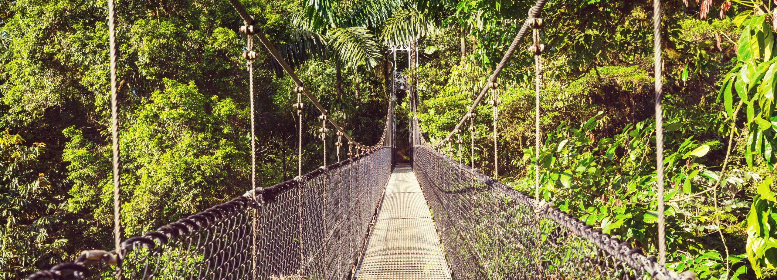 hike-in-costa-rica-2021-08-26-23-01-12-utc